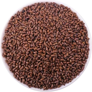 Semi di cassia (JiewMingzhi)